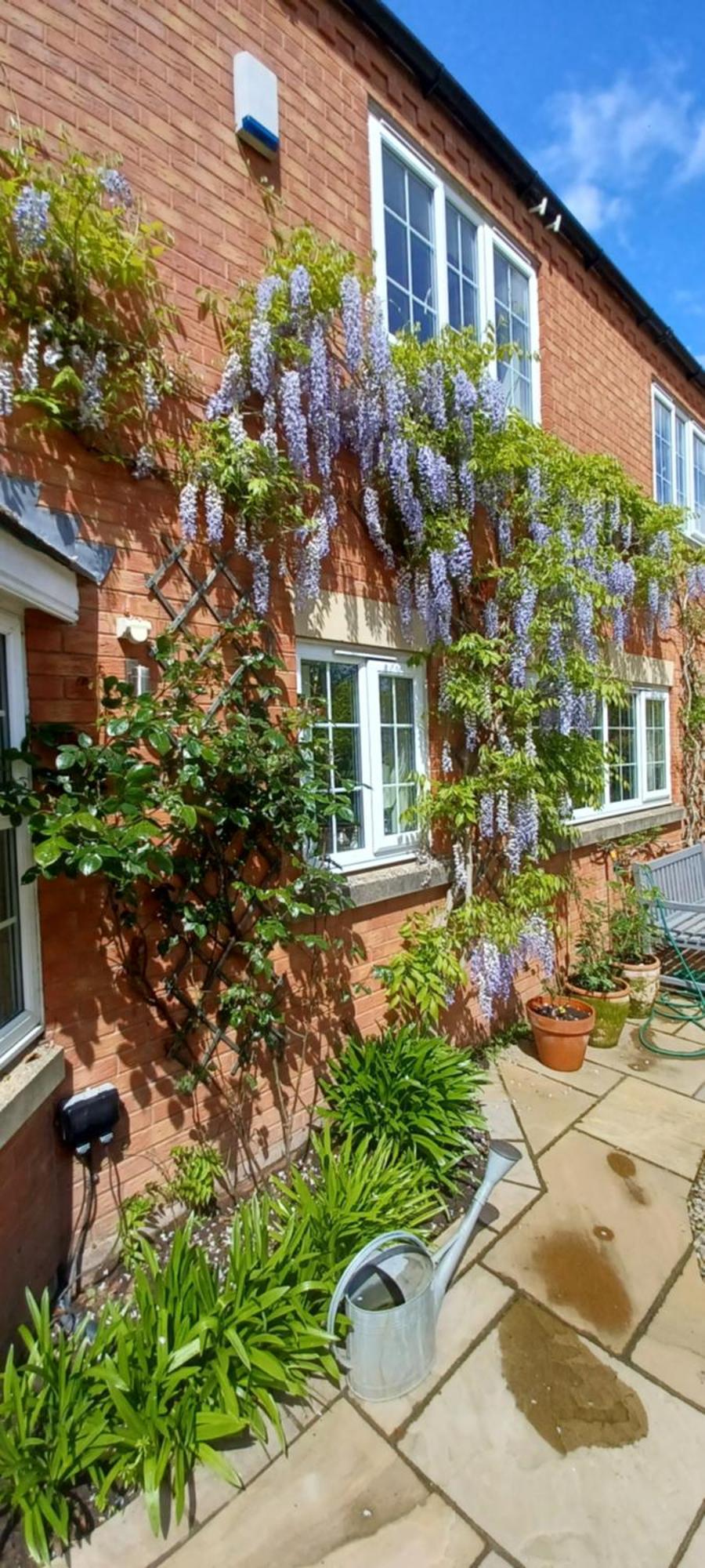 Harlequin B&B Ledbury Eksteriør billede